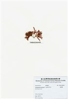 藏品(旋花藻)的圖片